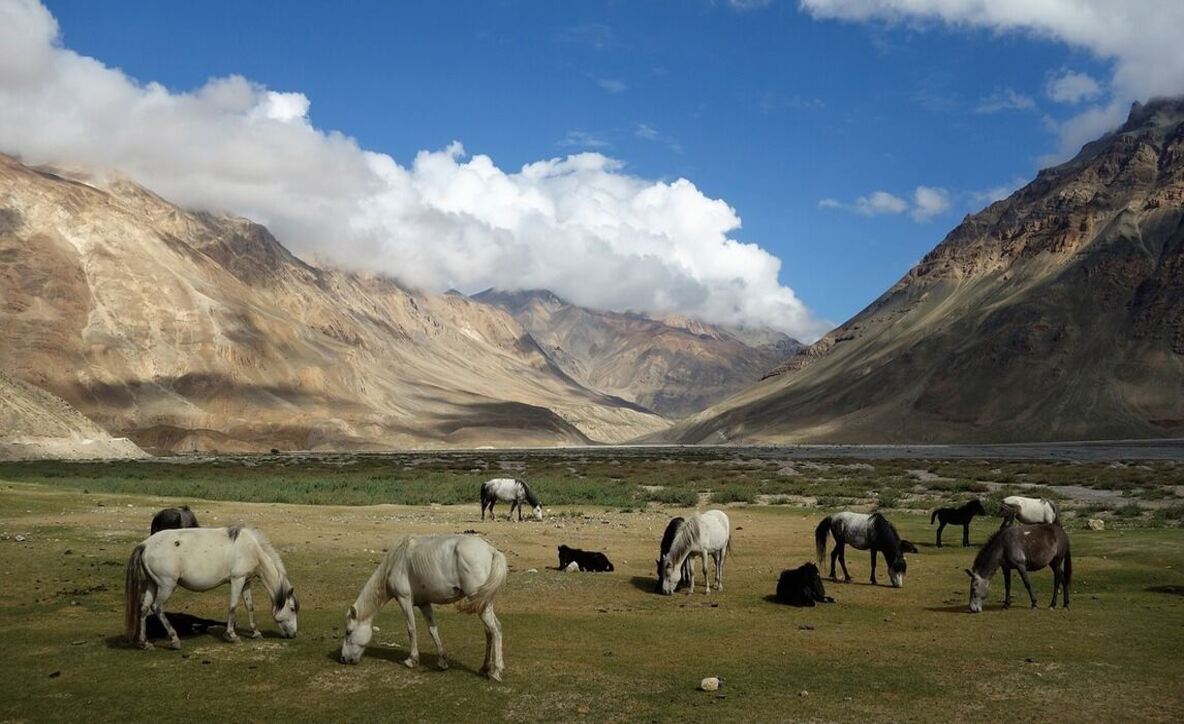 spiti valley tour packages from chandigarh